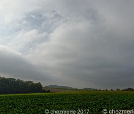 DSC_2266_DxO